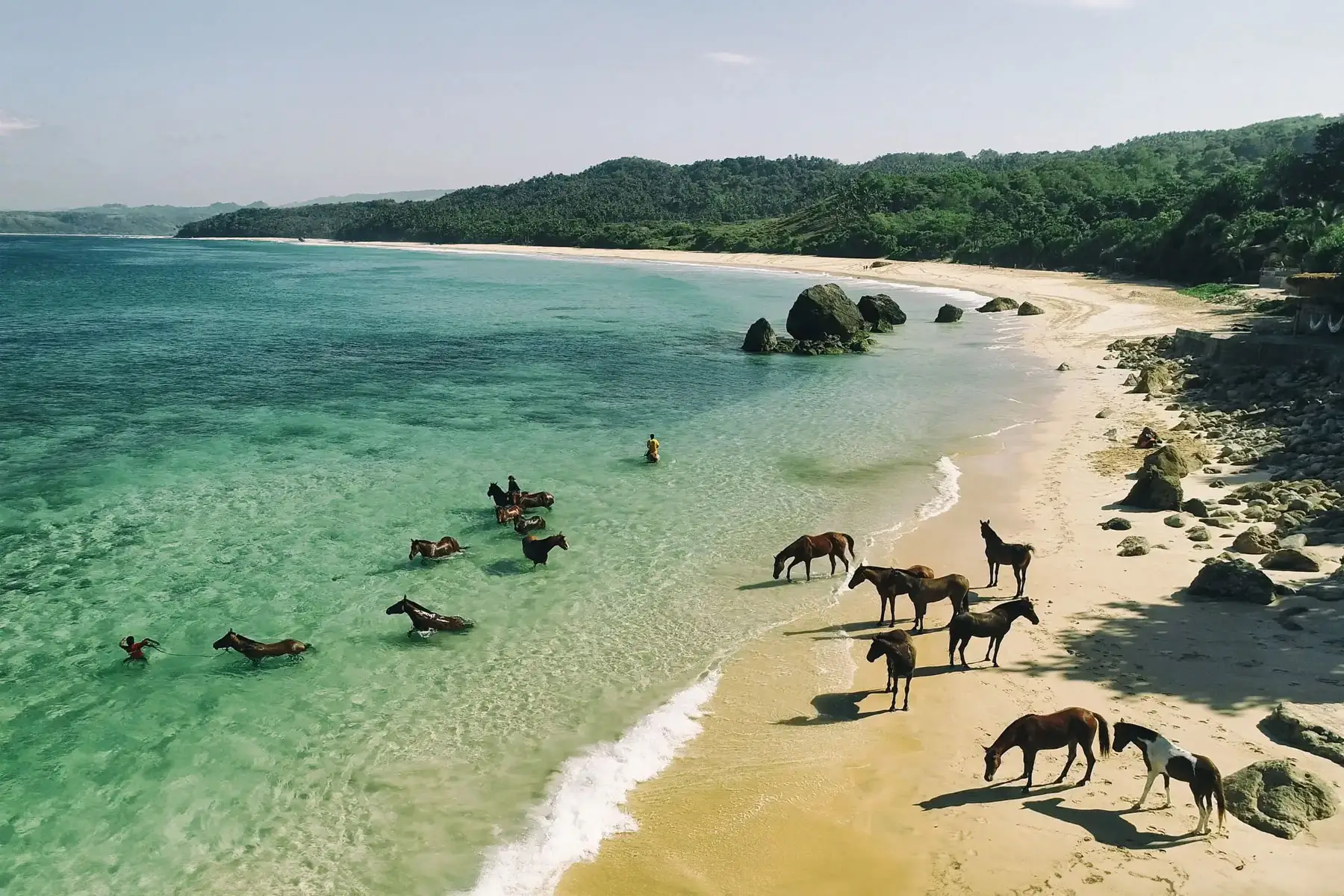 Horses entering the turquoise water at Nihiwatu Beach
